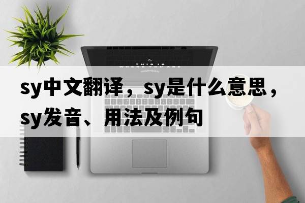 sy中文翻譯，sy是什么意思，sy發(fā)音、用法及例句