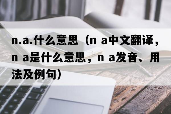 n.a.什么意思（n a中文翻譯，n a是什么意思，n a發(fā)音、用法及例句）