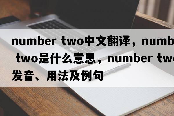 number two中文翻譯，number two是什么意思，number two發(fā)音、用法及例句
