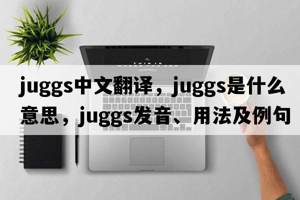 juggs中文翻譯，juggs是什么意思，juggs發(fā)音、用法及例句