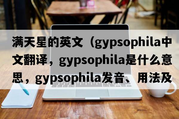 滿天星的英文（gypsophila中文翻譯，gypsophila是什么意思，gypsophila發(fā)音、用法及例句）