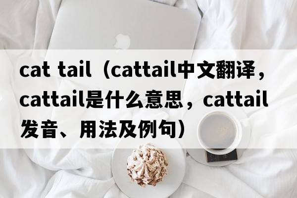 cat tail（cattail中文翻譯，cattail是什么意思，cattail發(fā)音、用法及例句）