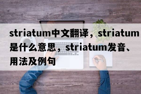 striatum中文翻譯，striatum是什么意思，striatum發(fā)音、用法及例句