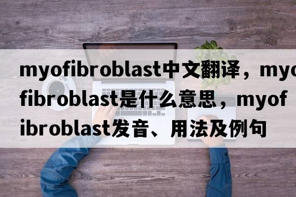 myofibroblast中文翻譯，myofibroblast是什么意思，myofibroblast發(fā)音、用法及例句