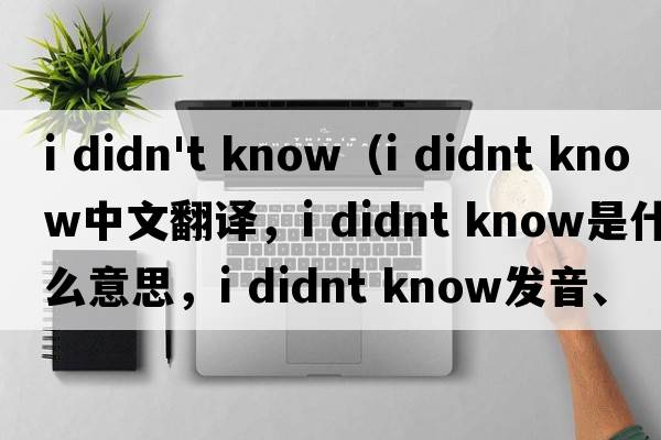 i didn't know（i didnt know中文翻譯，i didnt know是什么意思，i didnt know發(fā)音、用法及例句）