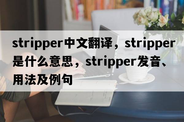 stripper中文翻譯，stripper是什么意思，stripper發(fā)音、用法及例句
