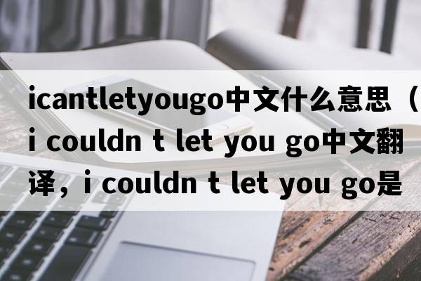 icantletyougo中文什么意思（i couldn t let you go中文翻譯，i couldn t let you go是什么意思，i couldn t let you go發(fā)音、用法及