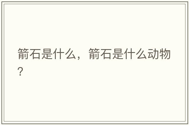 箭石是什么，箭石是什么動物？