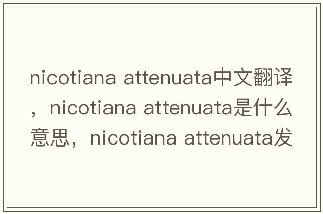 nicotiana attenuata中文翻譯，nicotiana attenuata是什么意思，nicotiana attenuata發(fā)音、用法及例句