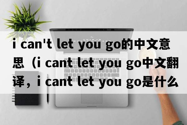 i can't let you go的中文意思（i cant let you go中文翻譯，i cant let you go是什么意思，i cant let you go發(fā)音、用法及例句）