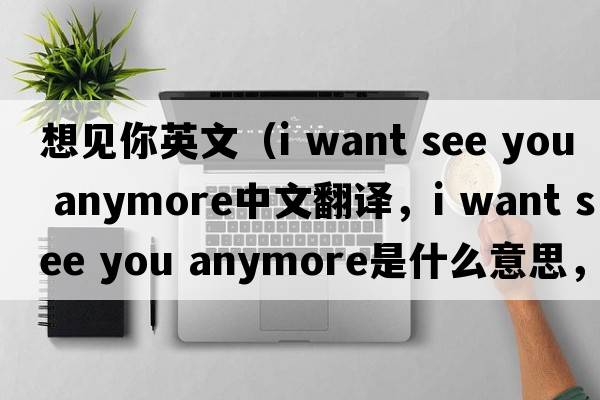 想見(jiàn)你英文（i want see you anymore中文翻譯，i want see you anymore是什么意思，i want see you anymore發(fā)音、用法及例句）