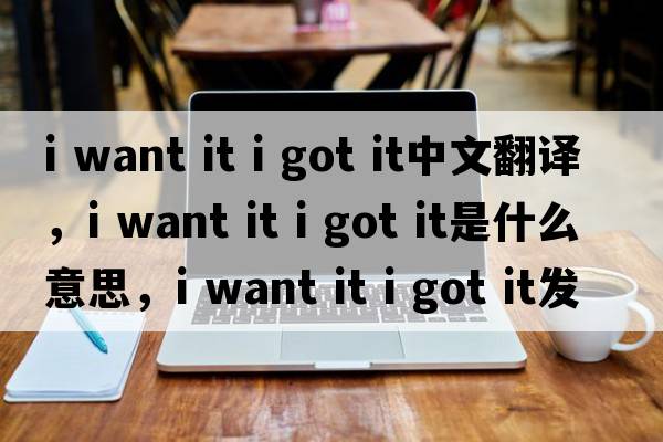 i want it i got it中文翻譯，i want it i got it是什么意思，i want it i got it發(fā)音、用法及例句