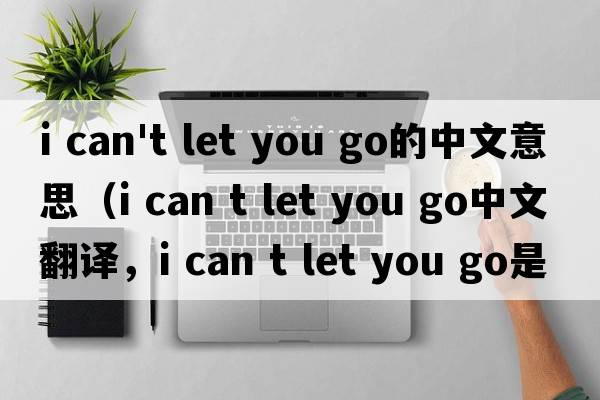 i can't let you go的中文意思（i can t let you go中文翻譯，i can t let you go是什么意思，i can t let you go發(fā)音、用法及