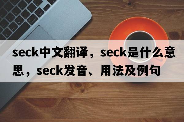 seck中文翻譯，seck是什么意思，seck發(fā)音、用法及例句