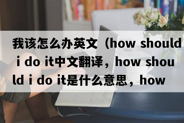 我該怎么辦英文（how should i do it中文翻譯，how should i do it是什么意思，how should i do it發(fā)音、用法及例句）