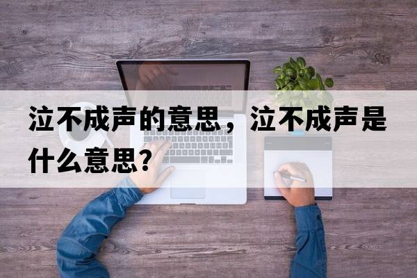 泣不成聲的意思，泣不成聲是什么意思？