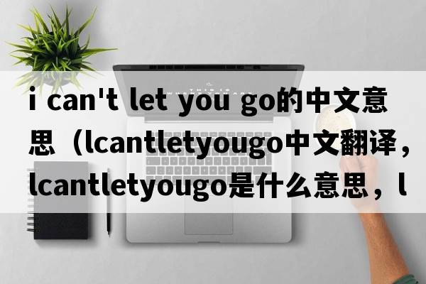 i can't let you go的中文意思（lcantletyougo中文翻譯，lcantletyougo是什么意思，lcantletyougo發(fā)音、用法及例句）