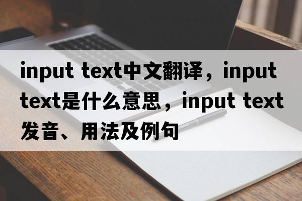 input text中文翻譯，input text是什么意思，input text發(fā)音、用法及例句