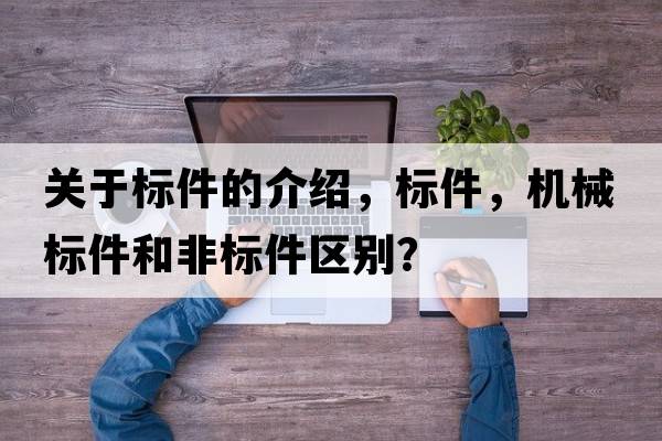 關(guān)于標件的介紹，標件，機械標件和非標件區(qū)別？