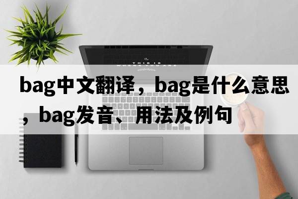 bag中文翻譯，bag是什么意思，bag發(fā)音、用法及例句