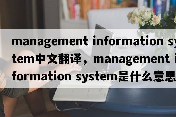 management information system中文翻譯，management information system是什么意思，management information system發(fā)音