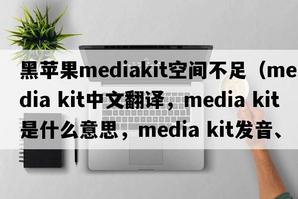 黑蘋果mediakit空間不足（media kit中文翻譯，media kit是什么意思，media kit發(fā)音、用法及例句）