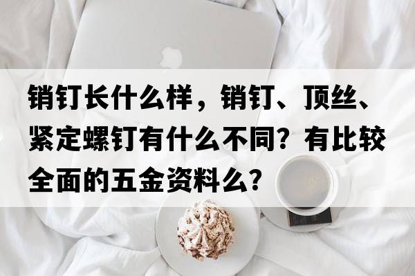 銷釘長(zhǎng)什么樣，銷釘、頂絲、緊定螺釘有什么不同？有比較全面的五金資料么？