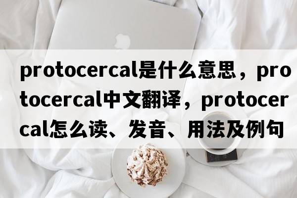 protocercal是什么意思，protocercal中文翻譯，protocercal怎么讀、發(fā)音、用法及例句