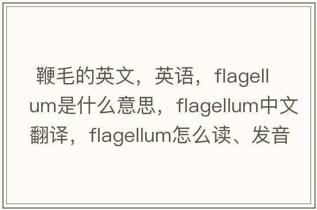  鞭毛的英文，英語(yǔ)，flagellum是什么意思，flagellum中文翻譯，flagellum怎么讀、發(fā)音、用法及例句