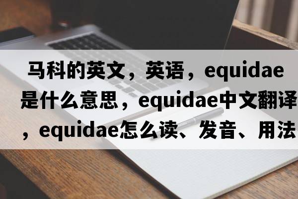  馬科的英文，英語，Equidae是什么意思，Equidae中文翻譯，Equidae怎么讀、發(fā)音、用法及例句