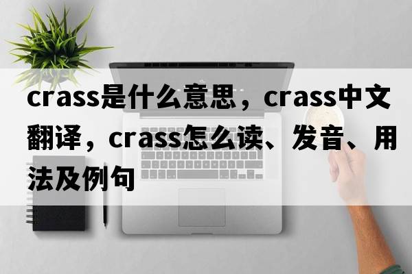 crass是什么意思，crass中文翻譯，crass怎么讀、發(fā)音、用法及例句