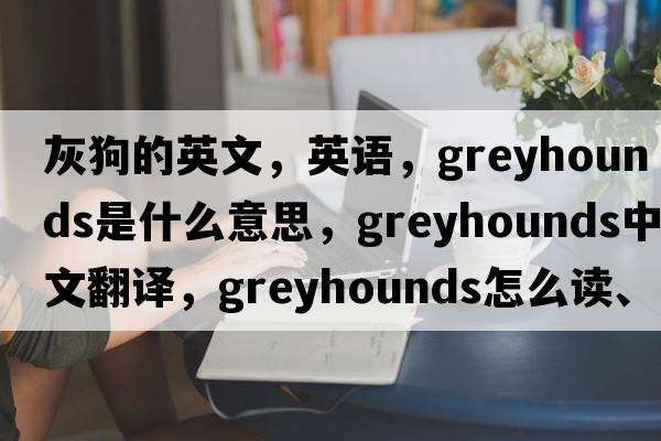 灰狗的英文，英語，greyhounds是什么意思，greyhounds中文翻譯，greyhounds怎么讀、發(fā)音、用法及例句