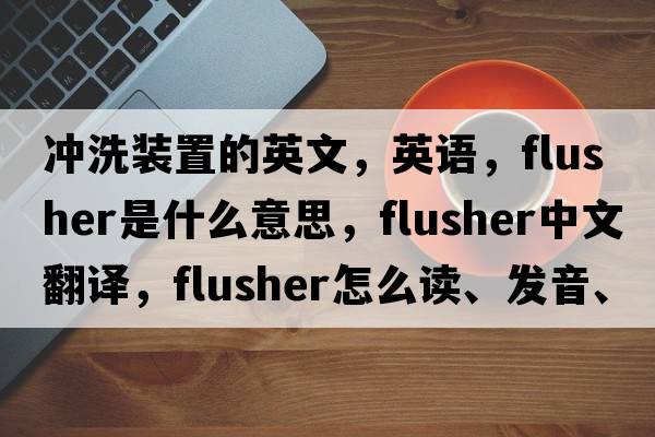 沖洗裝置的英文，英語，flusher是什么意思，flusher中文翻譯，flusher怎么讀、發(fā)音、用法及例句
