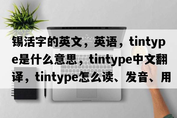 錫活字的英文，英語(yǔ)，tintype是什么意思，tintype中文翻譯，tintype怎么讀、發(fā)音、用法及例句