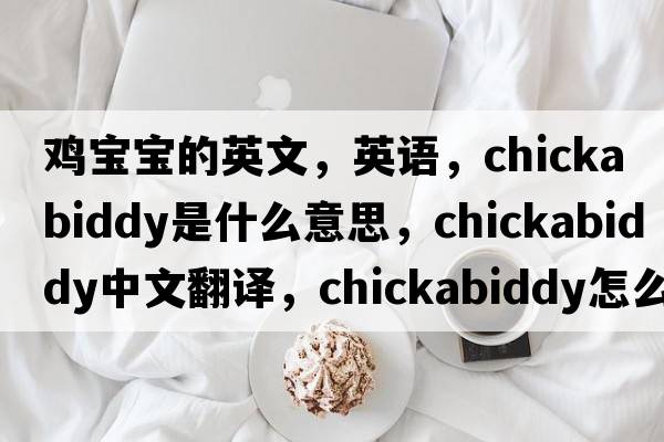 雞寶寶的英文，英語，chickabiddy是什么意思，chickabiddy中文翻譯，chickabiddy怎么讀、發(fā)音、用法及例句