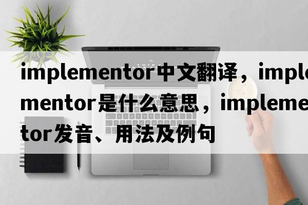 implementor中文翻譯，implementor是什么意思，implementor發(fā)音、用法及例句