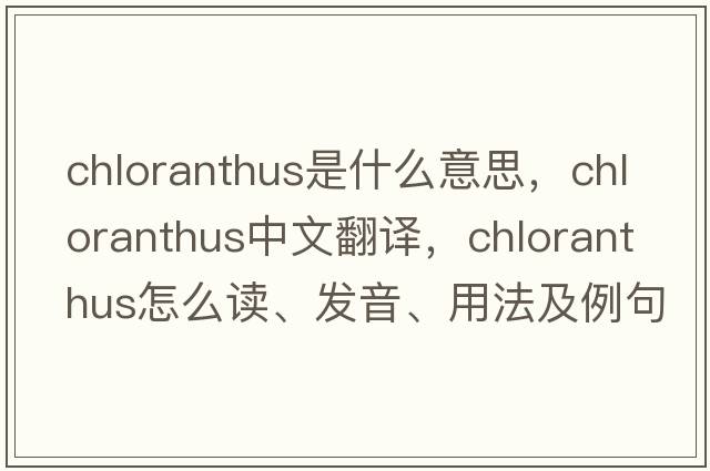 chloranthus是什么意思，chloranthus中文翻譯，chloranthus怎么讀、發(fā)音、用法及例句
