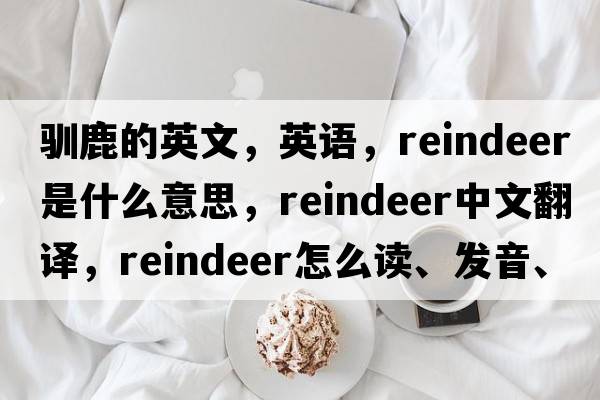 馴鹿的英文，英語(yǔ)，reindeer是什么意思，reindeer中文翻譯，reindeer怎么讀、發(fā)音、用法及例句