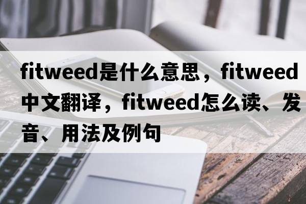 Fitweed是什么意思，F(xiàn)itweed中文翻譯，F(xiàn)itweed怎么讀、發(fā)音、用法及例句