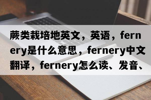 蕨類栽培地英文，英語，fernery是什么意思，fernery中文翻譯，fernery怎么讀、發(fā)音、用法及例句