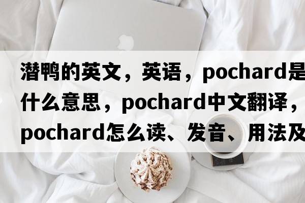 潛鴨的英文，英語，pochard是什么意思，pochard中文翻譯，pochard怎么讀、發(fā)音、用法及例句