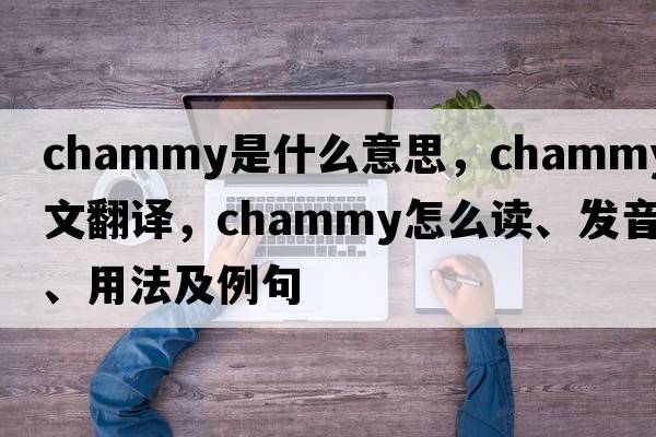 chammy是什么意思，chammy中文翻譯，chammy怎么讀、發(fā)音、用法及例句
