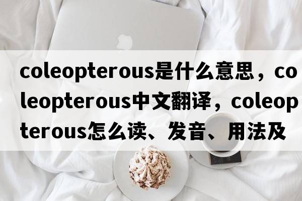 coleopterous是什么意思，coleopterous中文翻譯，coleopterous怎么讀、發(fā)音、用法及例句