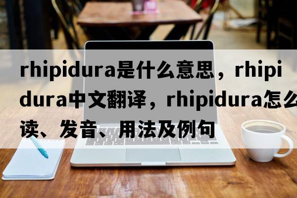 rhipidura是什么意思，rhipidura中文翻譯，rhipidura怎么讀、發(fā)音、用法及例句