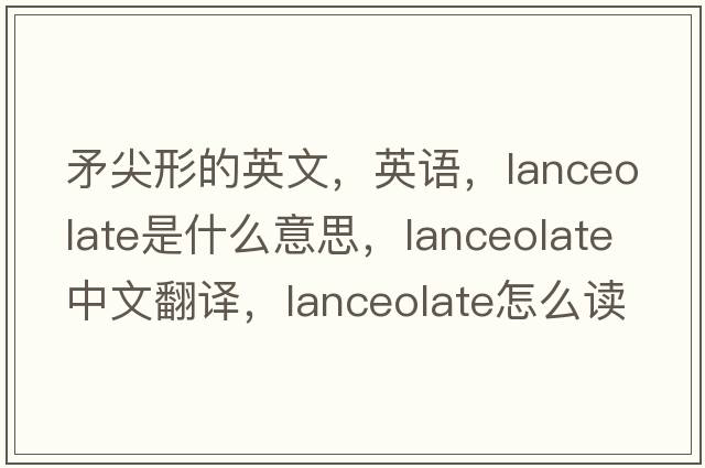 矛尖形的英文，英語，lanceolate是什么意思，lanceolate中文翻譯，lanceolate怎么讀、發(fā)音、用法及例句