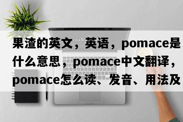 果渣的英文，英語，pomace是什么意思，pomace中文翻譯，pomace怎么讀、發(fā)音、用法及例句