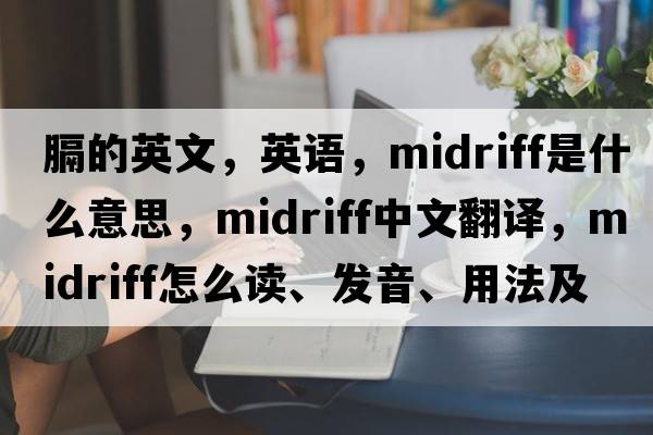膈的英文，英語，midriff是什么意思，midriff中文翻譯，midriff怎么讀、發(fā)音、用法及例句