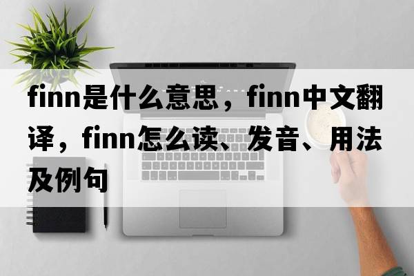 finn是什么意思，finn中文翻譯，finn怎么讀、發(fā)音、用法及例句