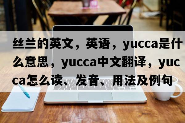 絲蘭的英文，英語，yucca是什么意思，yucca中文翻譯，yucca怎么讀、發(fā)音、用法及例句