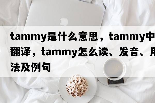tammy是什么意思，tammy中文翻譯，tammy怎么讀、發(fā)音、用法及例句